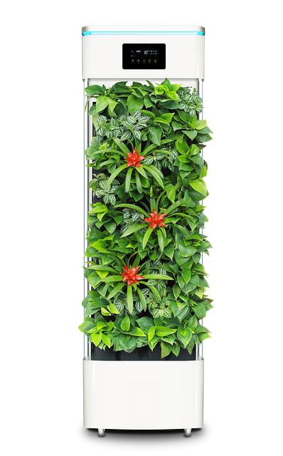 Key Features to Look for in Allergy-Focused Air Purifiers