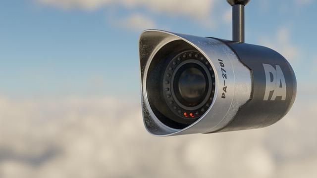 Chic Security: Sleek Cameras for a Discreet Home Presence