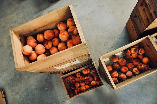 Recommendations for Choosing the Right Storage Box for Your Needs
