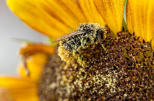 Evaluating Performance in High Pollen Environments