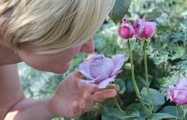 Expert Recommendations for Optimal Odor Elimination Solutions