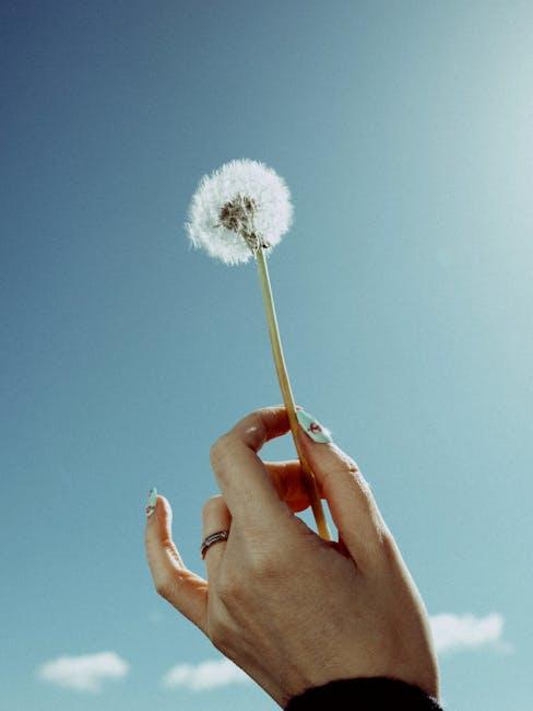 Top Contenders for Elegance and Efficiency in Air Purification