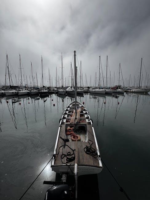 Exploring the Technology Behind Self-Emptying Docks