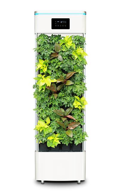 Choosing the Right Air Purifier: Features That Matter