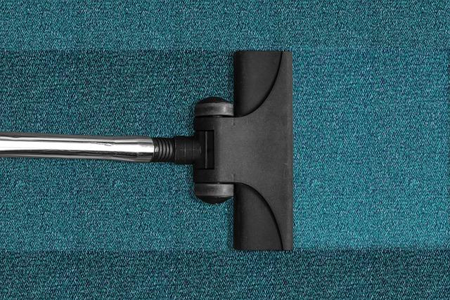 Efficiency Meets Compact Living