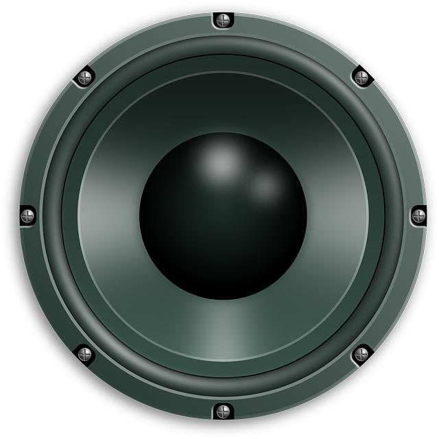Reliable and Affordable Smart Speakers for Effortless Control